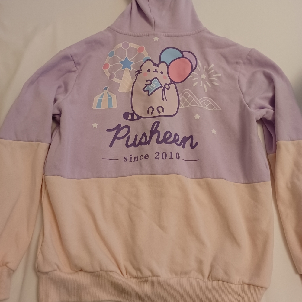 Summer Pusheen Box 15th Anniversary Hoodie (Small / Washed Once)